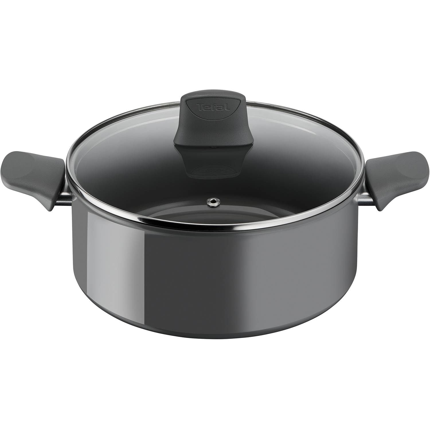 3168430348431 Tefal Renewal Stewpot 24 cm, grey - Gryde Husholdning,Køkkenudstyr,Gryder 2190004176 C4264633