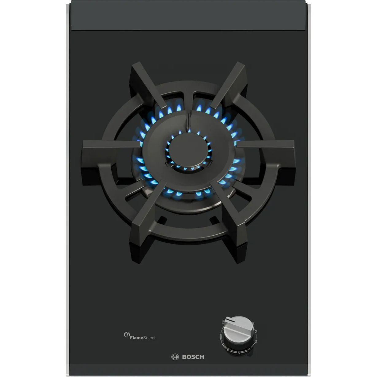 Bosch PRA3A6I10 - Gaskogeplade