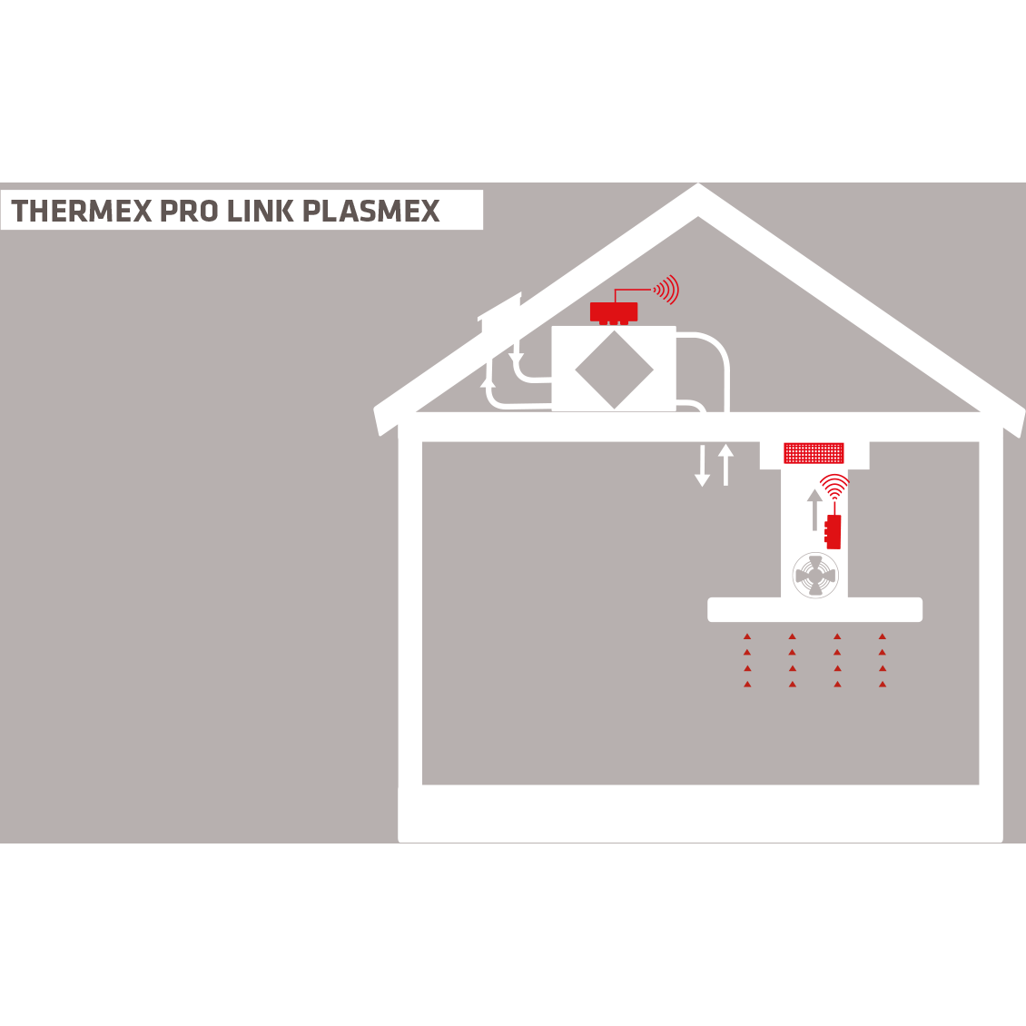 Thermex 536.99.1551.9 - Prolink Plasmex III