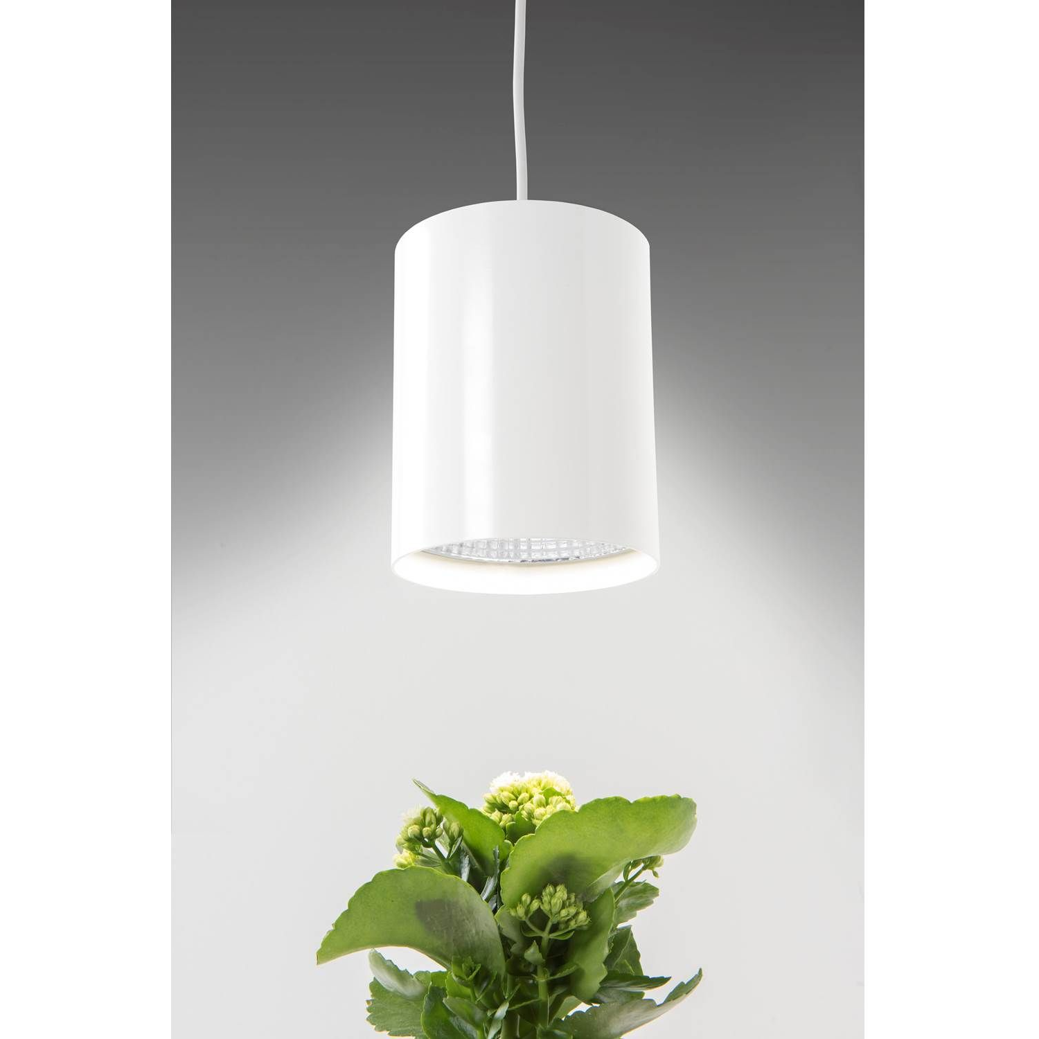 6435200228246 Airam Fiora hvid - Vækstlampe Lamper,Pendler-/ Hængelamper,Pendler/Hængelamper 2190000630 110777