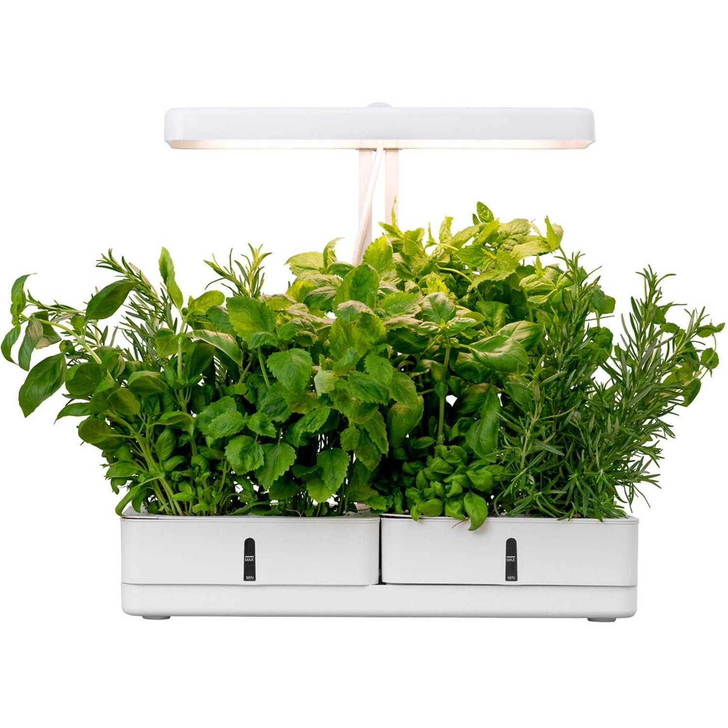 6435200292780 Airam Daisy hvid - Vækstlampe m/timer Lamper,Bordlamper,Bordlamper 2190003676 121552