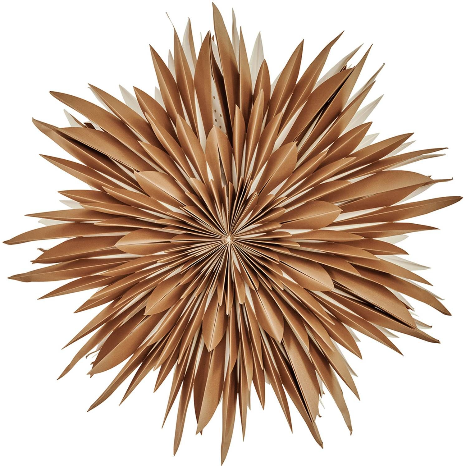 7340044229504 Watt & Veke Maja Ø60 gold - Julestjerne Lamper,Julebelysning,Julebelysning 2190001569 116390