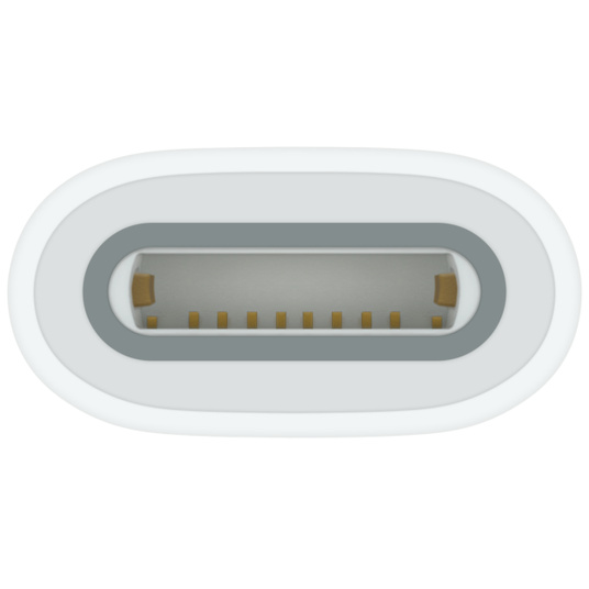 194253665199 Apple USB-C to Apple Pencil Adapter (mellemstykke) - MQLU3ZM Computer & IT,Tilbehør computer & IT,Tilbehør til iPad 20500245799 MQLU3ZM/A