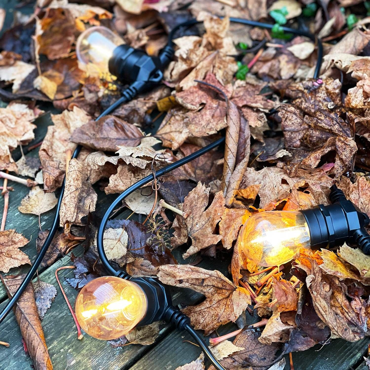 7340110602125 LightsOn Cosy start 10 LED lyskæde Lamper,Udendørs- lamper,Udendørslamper 2190012168 149025