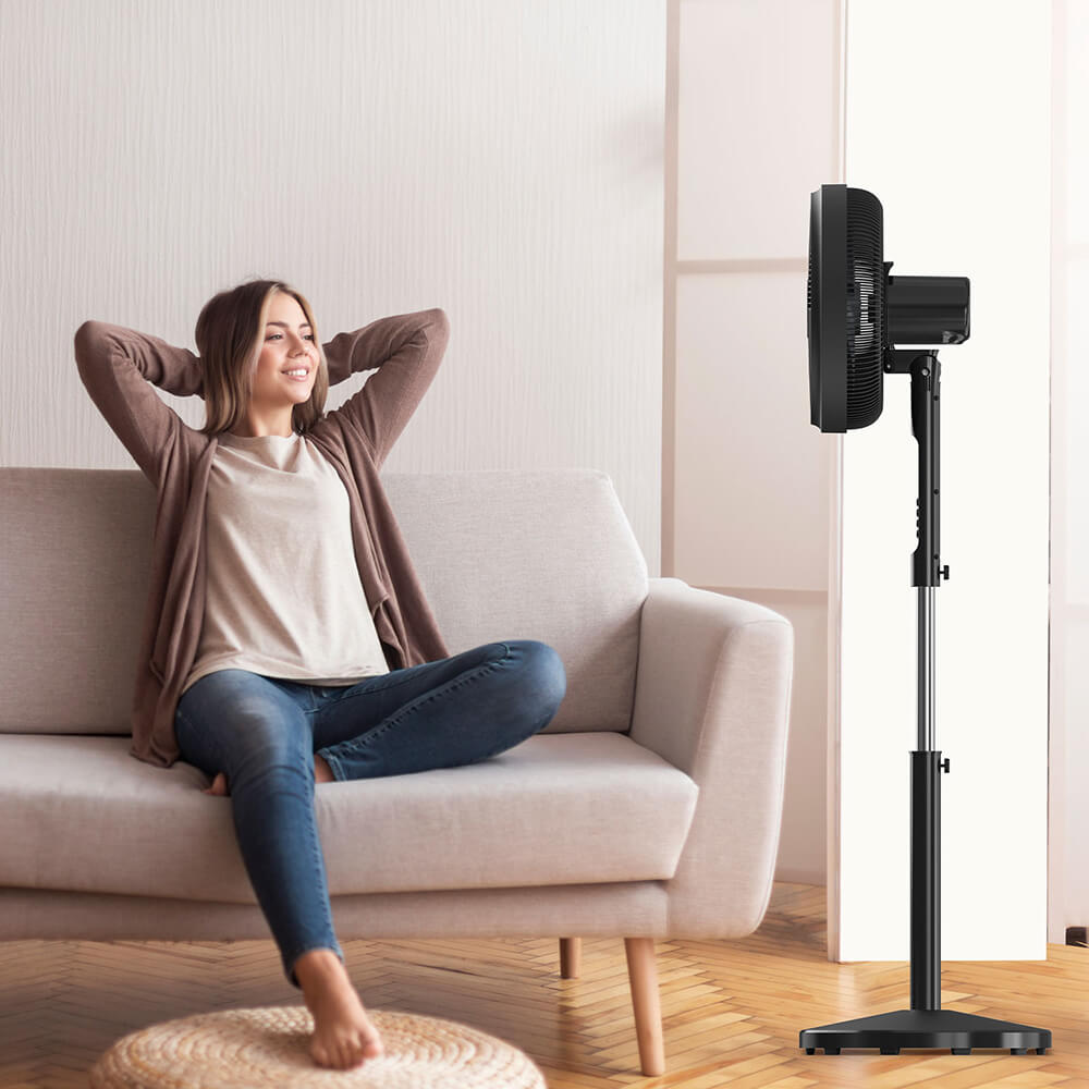BLACK+DECKER Pedestal Fan